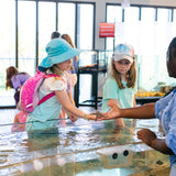 Tybee Island Marine Science Center (TIMSC) Conservation Efforts