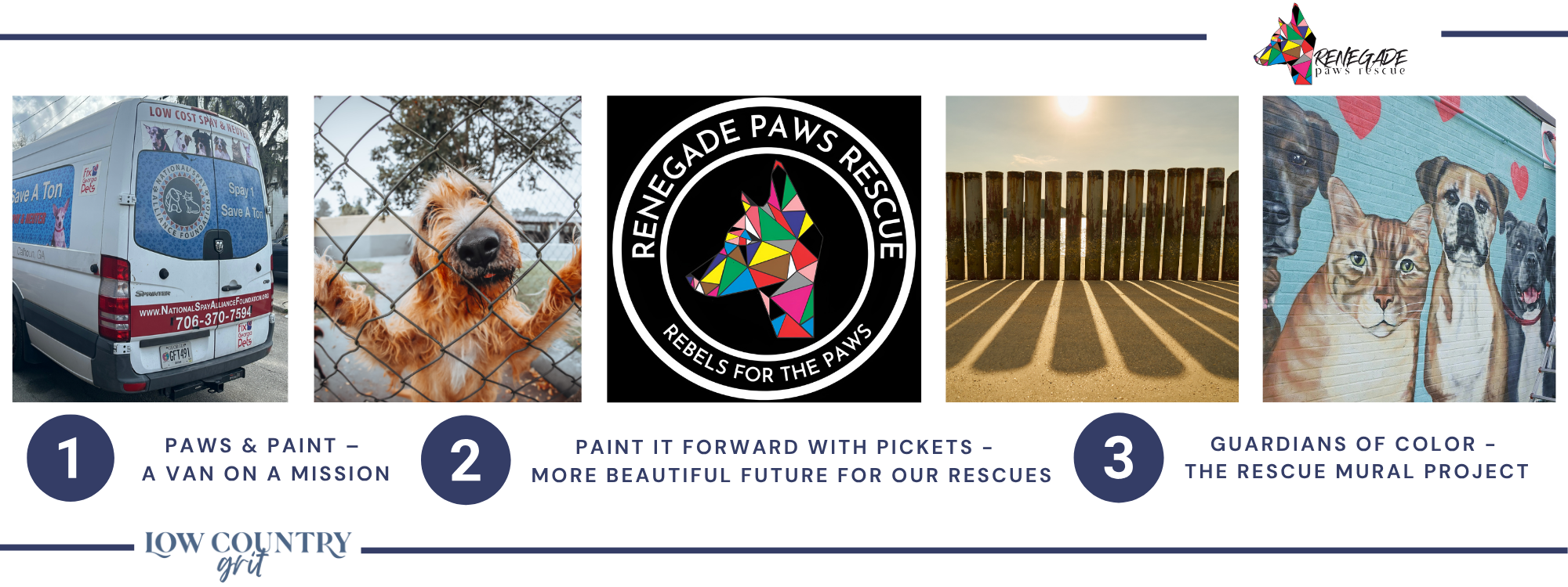 Renegade Paws Rescue