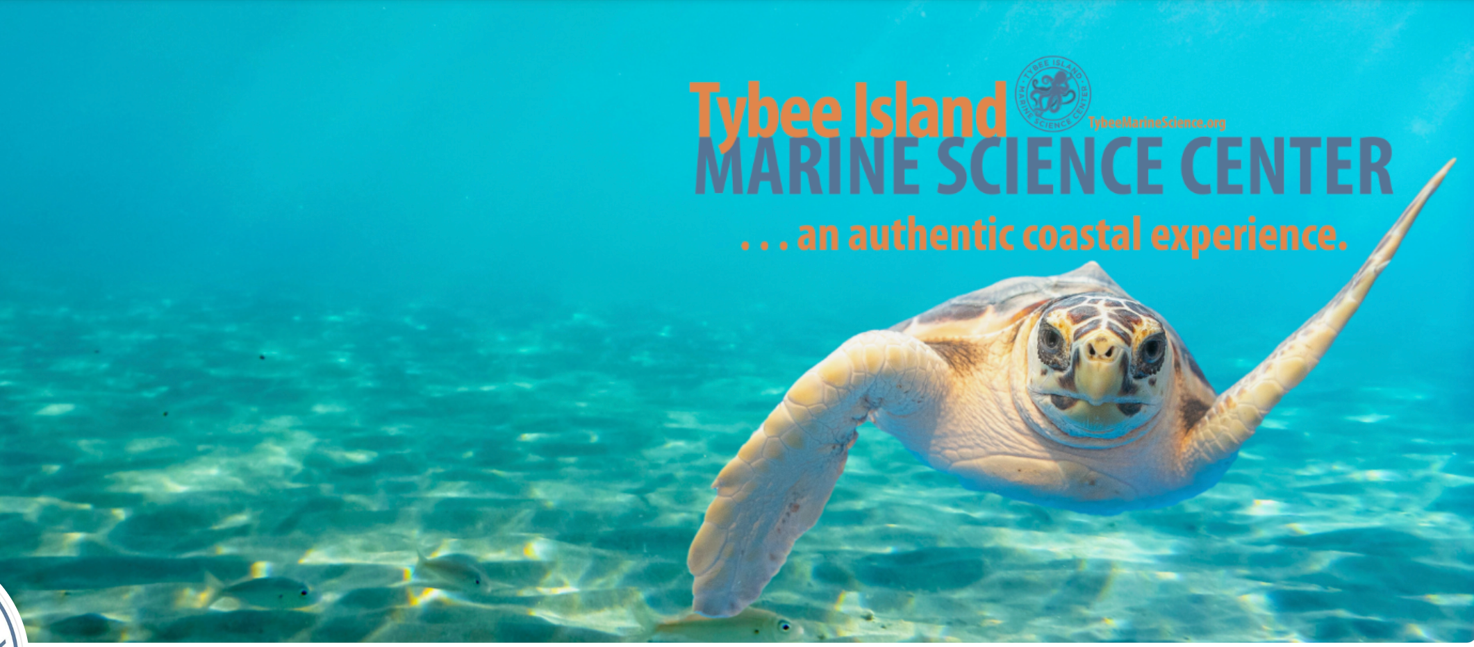 Tybee Island Marine Science Center