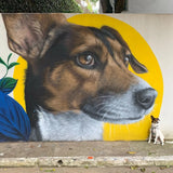 Direct Donation: Guardians of Color: The Rescue Mural Project