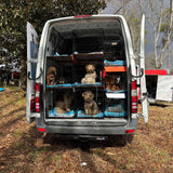 Direct Donation: Paws & Paint – A Van on a Mission